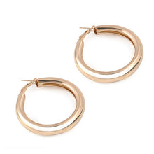 Load image into Gallery viewer, 2019 Fashion Statement Earrings Big Geometric earrings For Women Hanging Dangle Earrings Drop Earing modern Jewelry Wholesale
